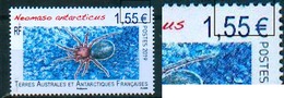 TAAF / French Southern AntarcticTerritories 2019 - Neomaso Antarcticus - Une Dent Courte/ One Short Teeth - MNH - Ragni