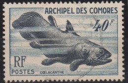 COMORES Francese 1954 1v MiN°13 (o) - Oblitérés