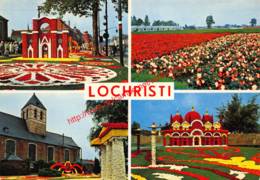 Tuinbouwcentrum - Jaarlijks Begonia-festival - Lochristi - Lochristi