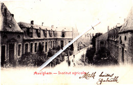 AVELGHEM - Institut Agricole - Carte Circulée En 1903 - Avelgem