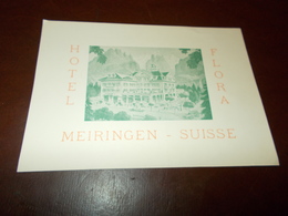 Delcampe - B713  Svizzera Meiringen Hotel Flora Non Viaggiata - Meiringen