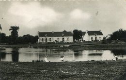 PLUVIGNER **** 3 JEUNES FILLES AU BORD DE L ETANG **** - Pluvigner