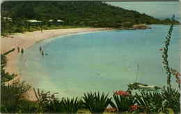 ANTIGUA - WEST INDIES - HAWKSBILLE BEACH - VINTAGE POSTCARD 1960s (BG2117) - Antigua Y Barbuda