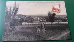 CPA HARDRICOURT 78 PANORAMA PRIS DU PARC DU CHATEAU HOMME CHIEN 298 ND PHOTO - Hardricourt