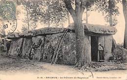 Bagneux Prèsde  Saumur      49       Le Dolmen       (1 Voir Scan) - Saumur