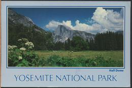 °°° 13044 - USA - CA - YOSEMITE NATIONAL PARK - 1994 With Stamps °°° - Yosemite