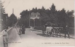 Delcampe - CPA Orthez - Avenue Du Pont-Neuf (belle Animation Avec Attelage) - Orthez