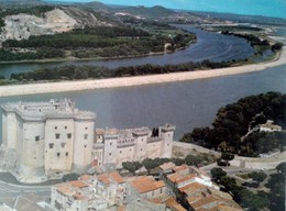 Delcampe - Tarascon Château Du Roi René VUE AÉRIENNE 13 France - Tarascon