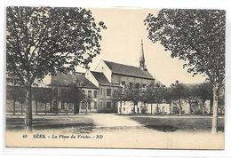 Delcampe - SEES - La Place Du Friche - Sees