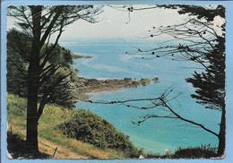 Delcampe - Binic-Etables-sur-Mer (22) Binic La Sente Aux Frères 2 Scans - Binic