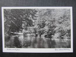 Delcampe - AK LYCHEN Schöne Woblitz Ca.1940 ///  D*36393 - Lychen