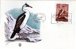 ARGENTINA,   FDC,    Bird     /     ARGENTINE,   Lettre De Première Jour,   Oiseaux,     1961 - Oies