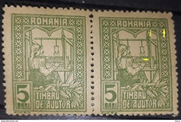 Error ROMANIA 1916 Timbru Ajutor, Help Stamp, 5 Bani Green Paar 2, Wit Printed Spot Colour On Model, See Image - Ungebraucht
