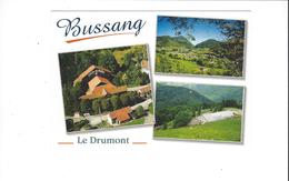 Delcampe - BUSSANG  LE DRUMONT  THEATRE DU PEUPLE MULTIVUES  ****      A   SAISIR  ****** - Bussang