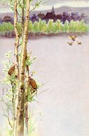 Delcampe - Hannetons Sur Un Bouleau - Insecten