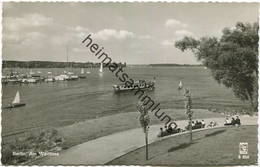 Berlin - Am Wannsee - Ausflugsdampfer "Lankwitz" - Foto-AK 50er Jahre - Verlag Klinke & Co. Berlin - Wannsee