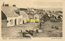 Delcampe - 29 Douarnenez-Tréboul, La Rue Du Moulin, Troupeau De Moutons Au 1er Plan, Belle Carte Pas Courante - Douarnenez