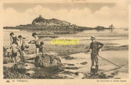 Delcampe - 29 Tréboul, Ile Coulinec à Marée Basse, Pêcheurs à Pied Au 1er Plan - Tréboul