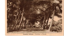 Delcampe - SOMALIA ITALIANA - COCCHETO A GENALE - Somalia