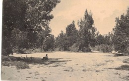 Delcampe - SOMALIA ITALIANA - BOSCAGLIA SOMALA - Somalia