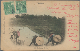 Französisch-Indochina: 1905, Picture Post Card Of 'Planting Rice’ Addressed To France Bearing Indo-C - Covers & Documents