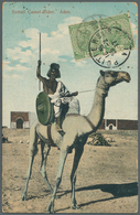 Indien - Used Abroad: ADEN, 1916. Picture Post Card (faults) Of 'Somali Camel Rider, Aden' Addressed - Altri & Non Classificati