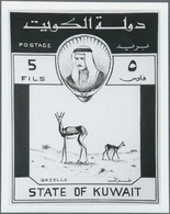 Kuwait: 1960. Lot Of 9 Different Black And White ESSAY PHOTOS (several Times Each) With The Correspo - Koeweit