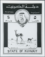 Kuwait: 1960. Lot Of 9 Different Black And White ESSAY PHOTOS (several Times Each) With The Correspo - Koweït