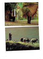 Delcampe - Lot 2 Cpm - Photo Jean-Jacques ARCIS - Paysan Mouton Chien Homme Foin - Monier
