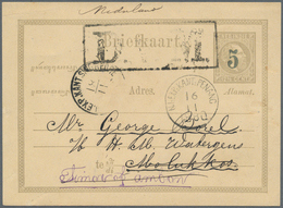 Niederländisch-Indien: 1880. Netherlands Lndies Postal Stationery Card 5 On 12½c Grey Cancelled By F - Netherlands Indies