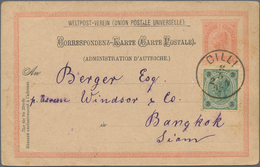 Thailand - Besonderheiten: 1892. Austrian Postal Stationery Card 5kr Rose Upgraded With Yvert48, 3k - Thailand