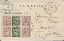 Thailand - Besonderheiten: 1906, New Caledonia Postage Stamps On Picture-postcard From New Caledonia - Tailandia