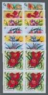 Thematik: Flora-Orchideen / Flora-orchids: 1972, BURUNDI: Orchids Complete Set Of 11 Stamps In IMPER - Orchidées