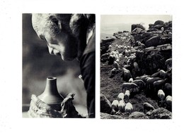 Delcampe - Lot 2 Cpm - Photo Helmut Krackenberger - Métier Homme Potier Tour Moutons - Monier