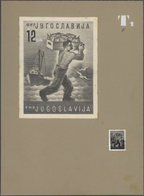 Thematik: Tiere-Fische / Animals-fishes: YUGOSLAVIA, 1950. Definitive Issue. ARTISTS WORKS. 0.50 DIN - Fishes