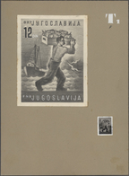 Thematik: Tiere-Fische / Animals-fishes: YUGOSLAVIA, 1950. Definitive Issue. ARTISTS WORKS. 0.50 DIN - Vissen