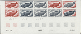 Thematik: Tiere-Fische / Animals-fishes: 1965, Nouvelle Caledonie: Fishes Complete Issue In 2x Five - Fishes