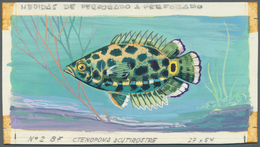 Thematik: Tiere-Fische / Animals-fishes: 1967, Burundi. Artist's Drawing For The 8fr Value Of The Tr - Fishes