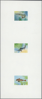 Thematik: Tiere-Fische / Animals-fishes: 1979, Mauritania - 6 Items; Collective, Progressive Plate P - Fishes
