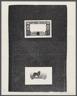 Thematik: Tiere-Hunde / Animals-dogs: 1932 Portomarke Im Muster „Neufundländer Hund”, Probeabdruck I - Dogs