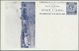 Thematik: Tiere-Nutztiere / Animals-farm Animals: 1908, South Australia, Pictorial Stat. Postcard QV - Sonstige & Ohne Zuordnung