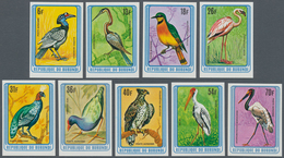 Thematik: Tiere-Vögel / Animals-birds: 1979, BURUNDI: Birds Complete IMPERFORATE Set Of Nine Airmail - Sonstige & Ohne Zuordnung