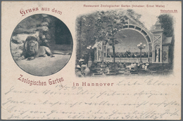 Thematik: Tiere-Zootiere / Animals-zoo Animals: 1899, Dt. Reich. Privat-Postkarte 5 Pf Ziffer "Gruss - Altri & Non Classificati