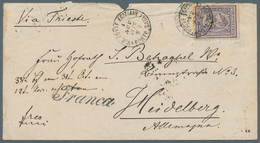 Ägypten: 1873. Envelope (faults) Addressed To Germany Bearing SG 33, 2 ½pi Violet Tied By Poste Egiz - 1866-1914 Khedivato De Egipto