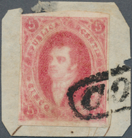 Argentinien: 1867 Rivadavia 5c. Rose-carmine, Blurred Impression From 7th Printing W/o Watermark, Im - Otros & Sin Clasificación