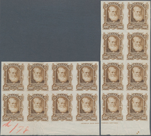 Brasilien: 1878-79, 300 R. Bister Two Imperf Blocks Of Eight On White Wove Paper, Bottom Wide Corner - Other & Unclassified