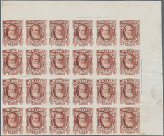 Brasilien: 1878-79, 700 R. Red-brown Imperf Block Of 24 On White Wove Paper, Top Right Wide Corner M - Other & Unclassified