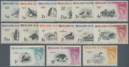 Falklandinseln: 1960, Bird Definitives Complete Set Mint Never Hinged, SG. £ 170 - Islas Malvinas