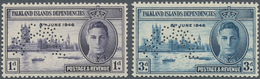 Falklandinseln - Abhängige Gebiete - Allgemeine Ausgabe: 1946, Victory Issue Perforated 'SPECIMEN' C - Falkland Islands