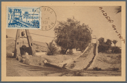 Fezzan: 1949, 8fr. Gorda Well On Maximum Card Clearly Oblit. With Cds. "SEBHA 24 6 1951", Certificat - Storia Postale